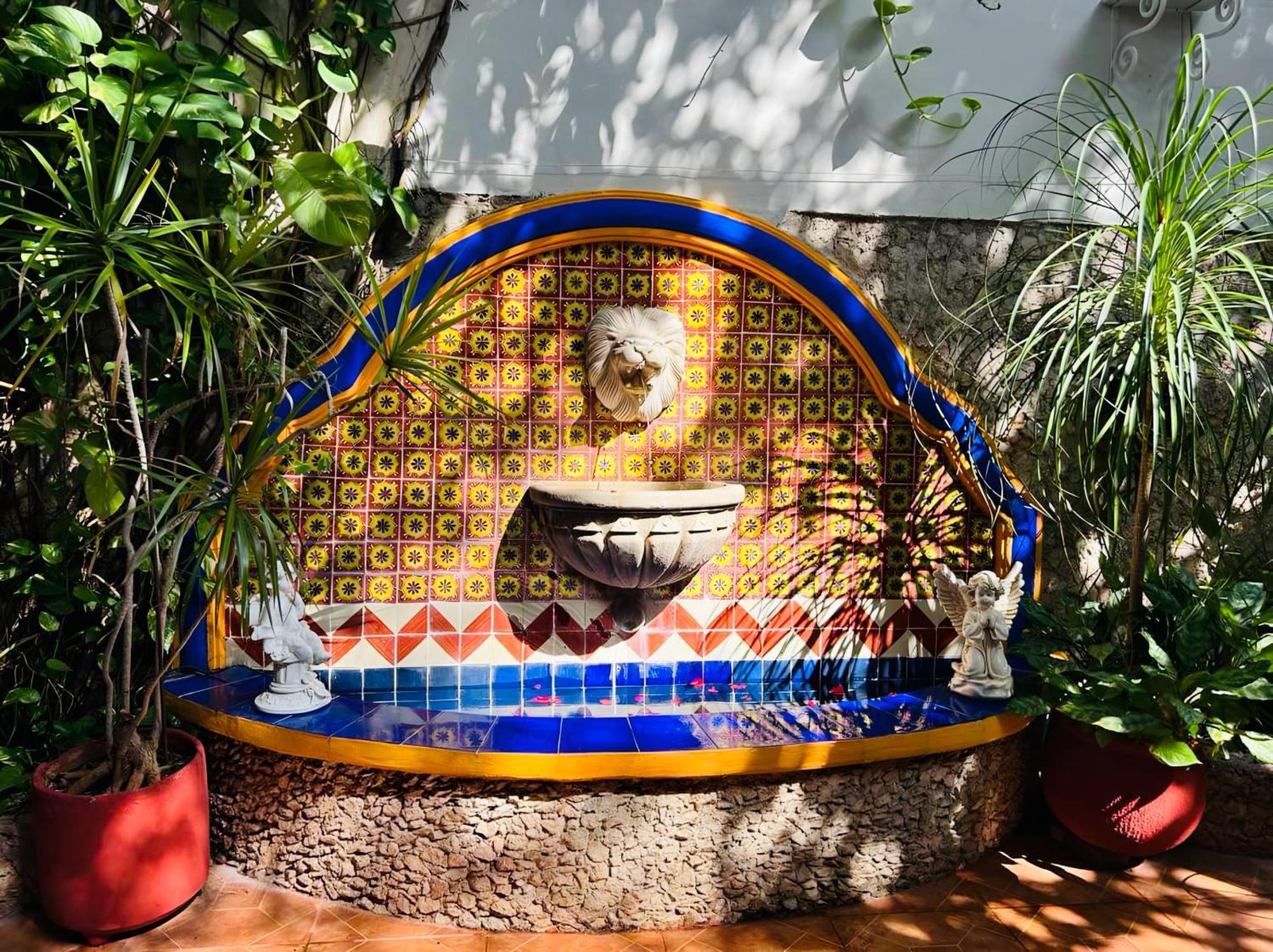 Bed and Breakfast Casa Tres Colibries à Mérida Extérieur photo