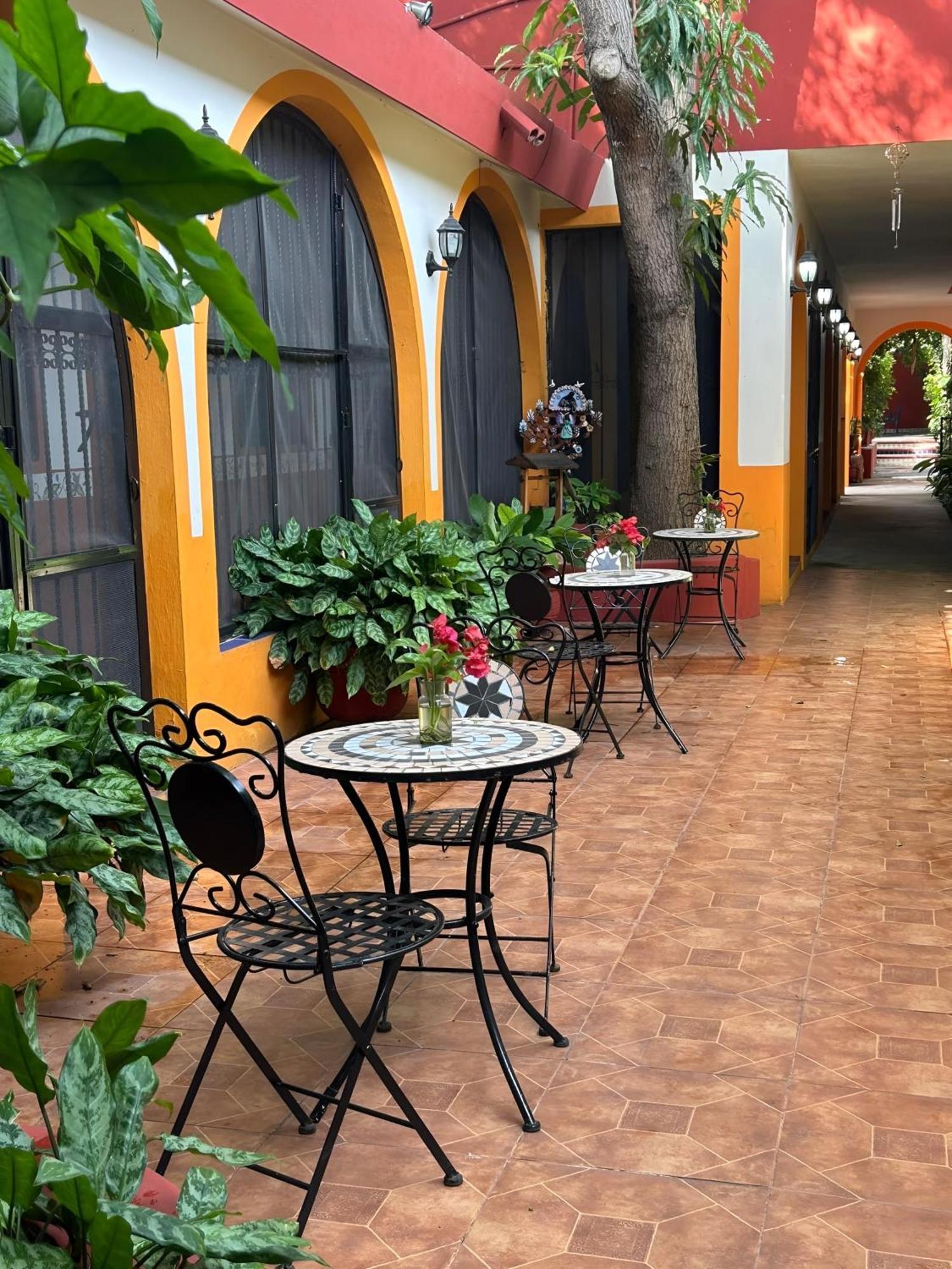 Bed and Breakfast Casa Tres Colibries à Mérida Extérieur photo