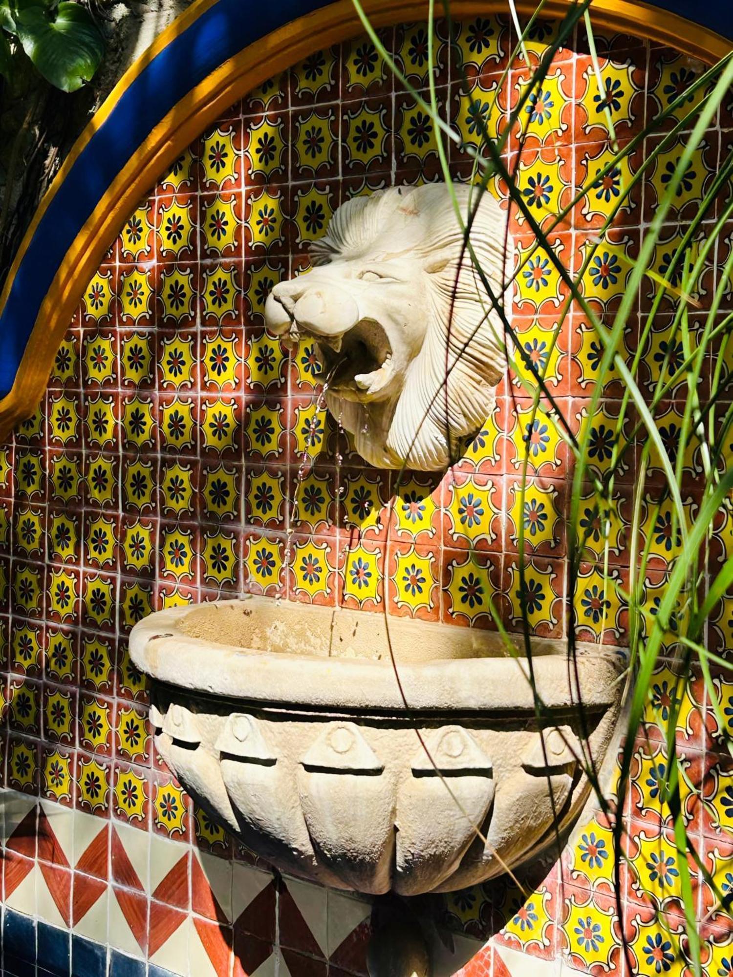 Bed and Breakfast Casa Tres Colibries à Mérida Extérieur photo