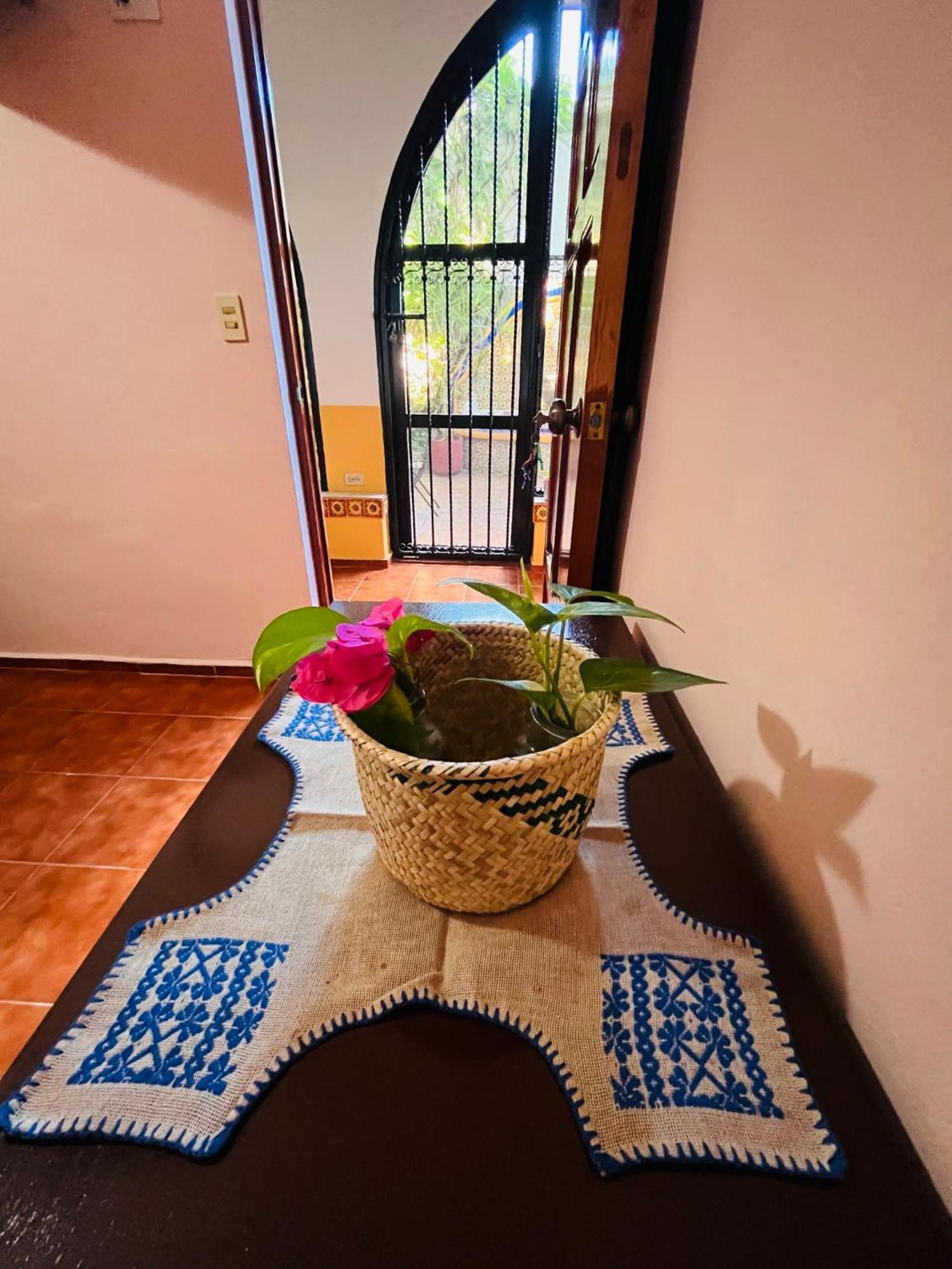 Bed and Breakfast Casa Tres Colibries à Mérida Extérieur photo