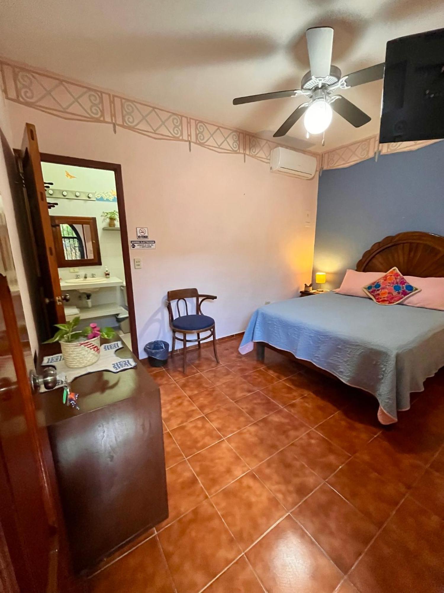 Bed and Breakfast Casa Tres Colibries à Mérida Extérieur photo