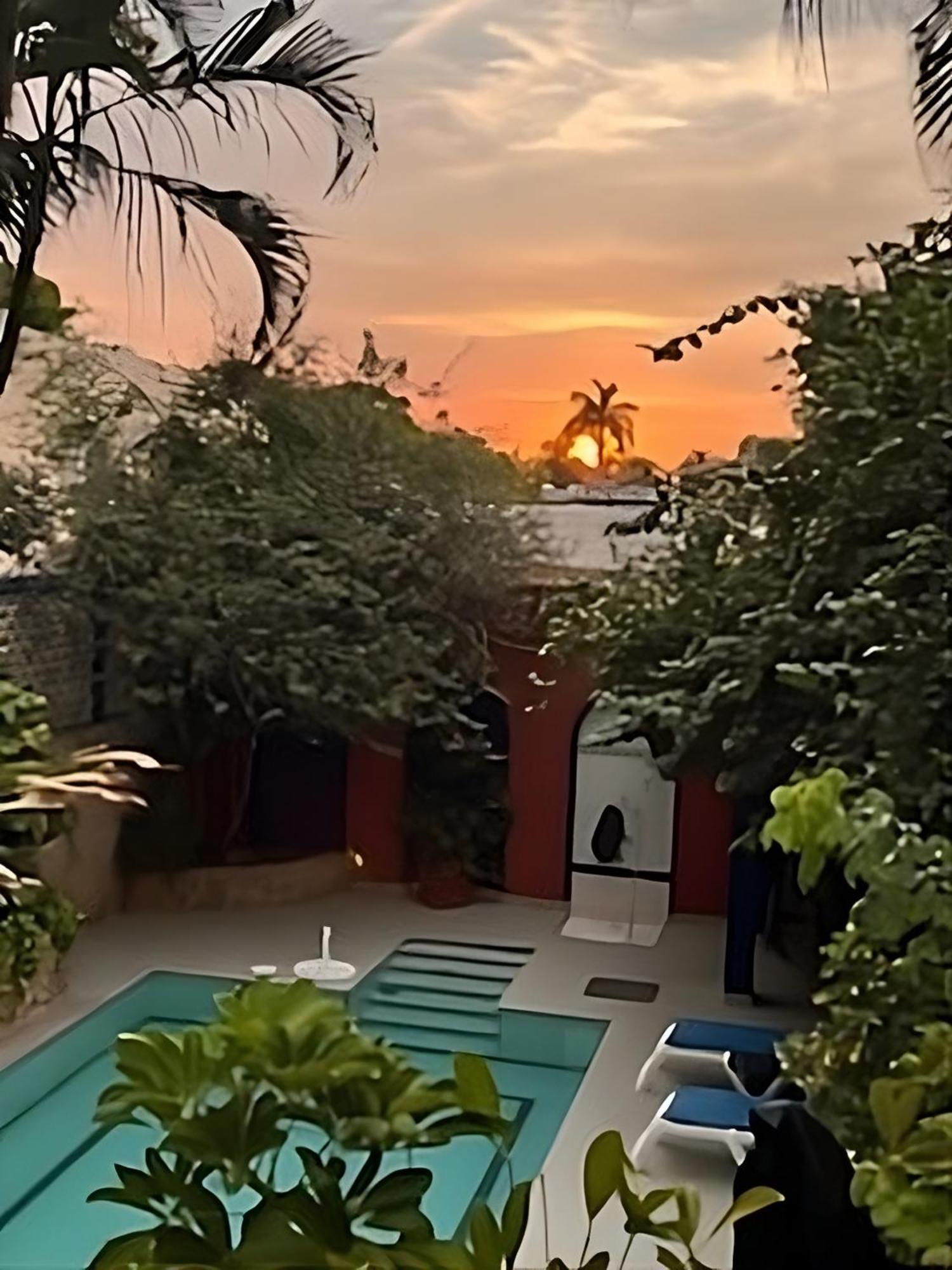 Bed and Breakfast Casa Tres Colibries à Mérida Extérieur photo