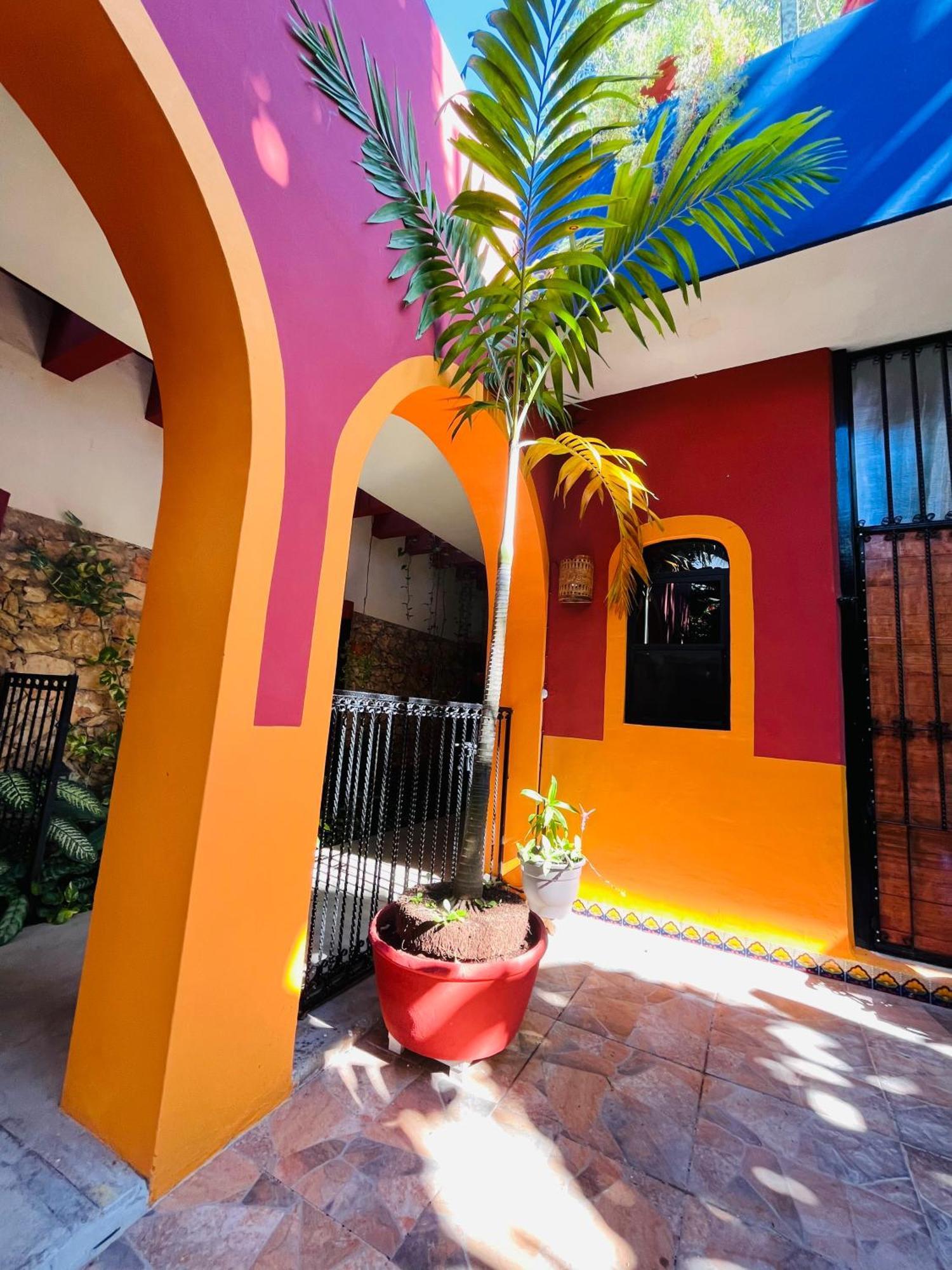 Bed and Breakfast Casa Tres Colibries à Mérida Extérieur photo