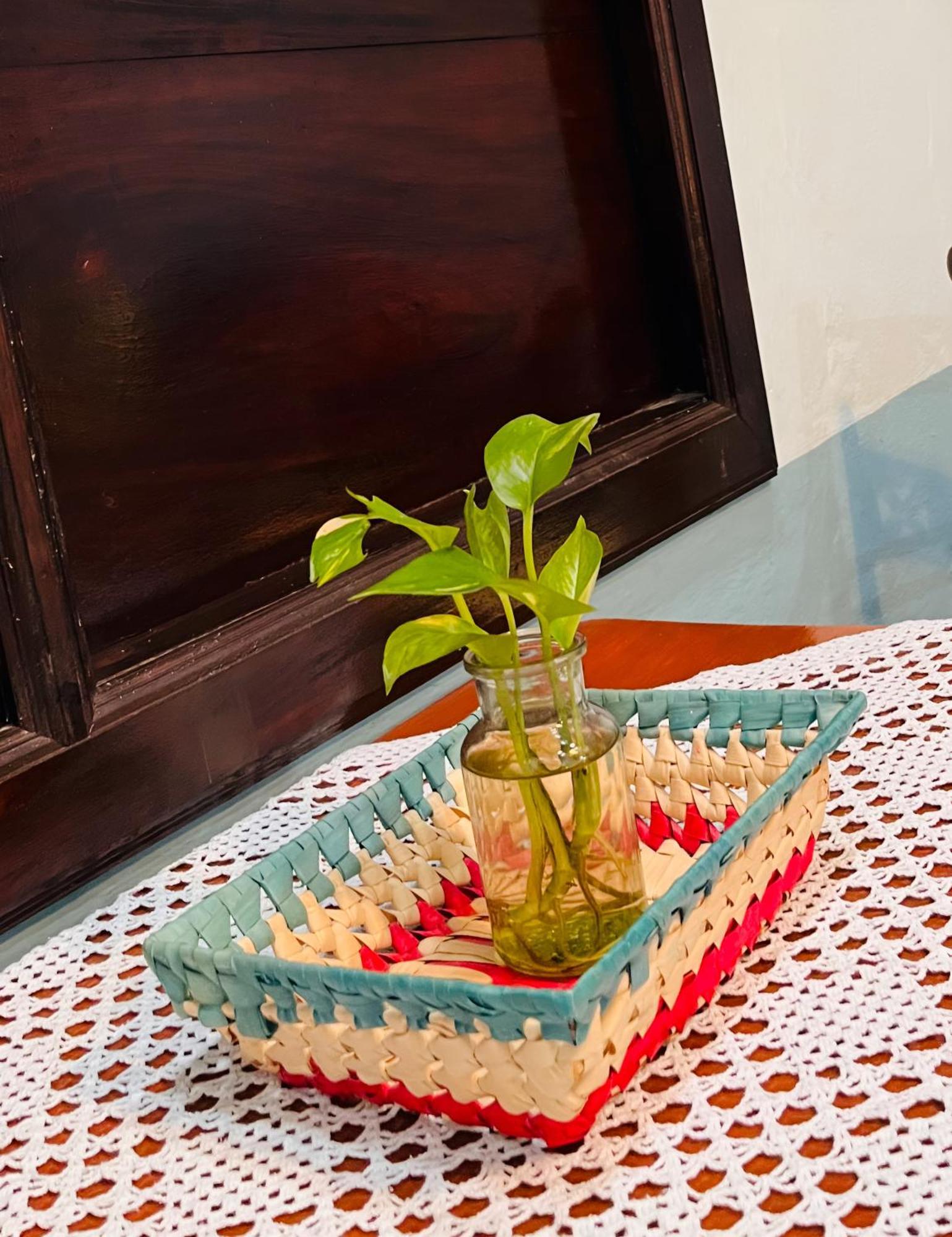 Bed and Breakfast Casa Tres Colibries à Mérida Extérieur photo