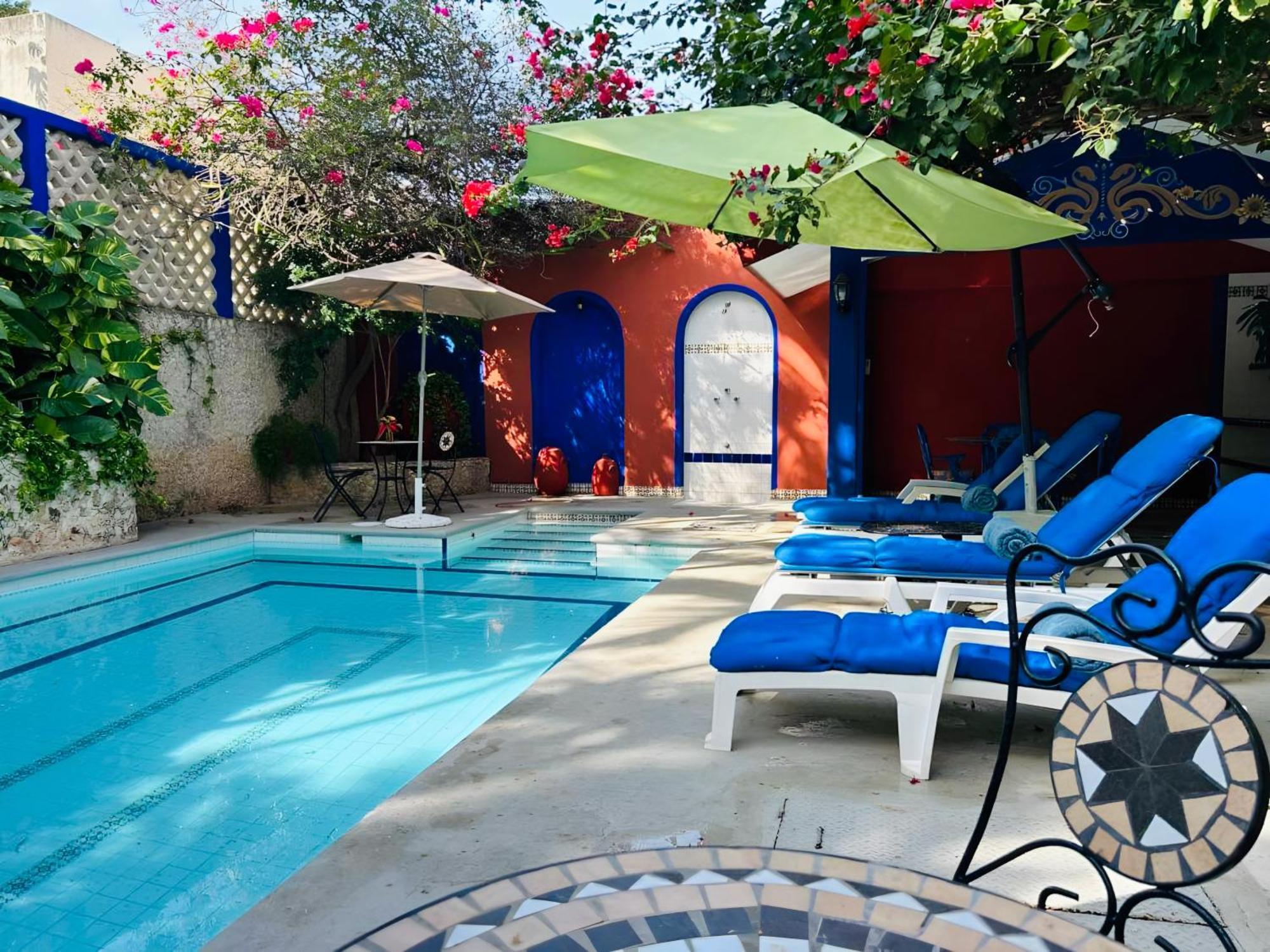 Bed and Breakfast Casa Tres Colibries à Mérida Extérieur photo