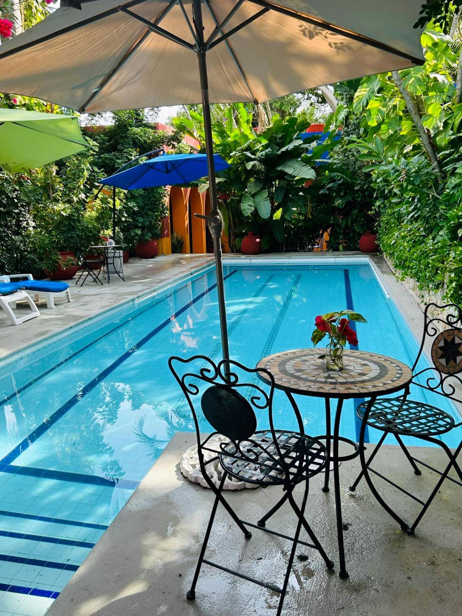 Bed and Breakfast Casa Tres Colibries à Mérida Extérieur photo