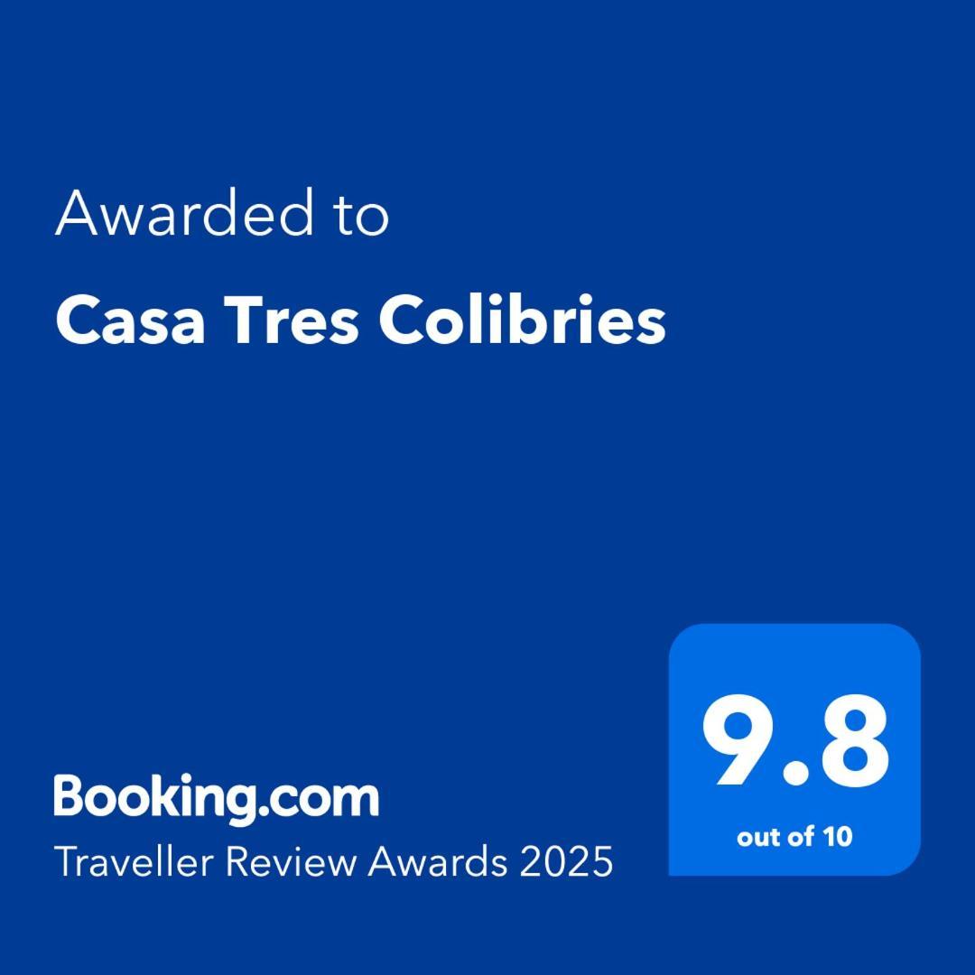 Bed and Breakfast Casa Tres Colibries à Mérida Extérieur photo