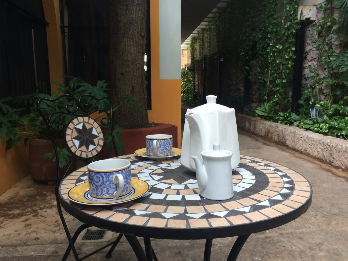 Bed and Breakfast Casa Tres Colibries à Mérida Extérieur photo