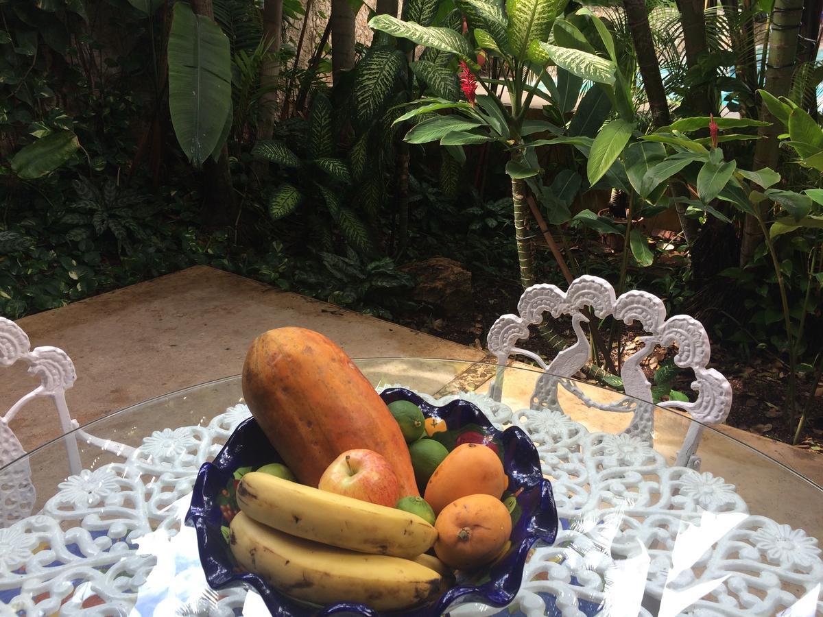 Bed and Breakfast Casa Tres Colibries à Mérida Extérieur photo
